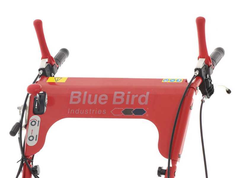 Blue Bird SG0812A - Tondeuse d&eacute;broussailleuse professionnelle &agrave; couteaux - Loncin LC175F-2