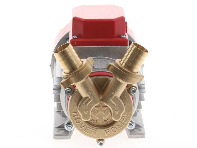 Pompe de transfert électrique Rover Marina Mini 20 - 12V - Électropompe  pour vin et eau