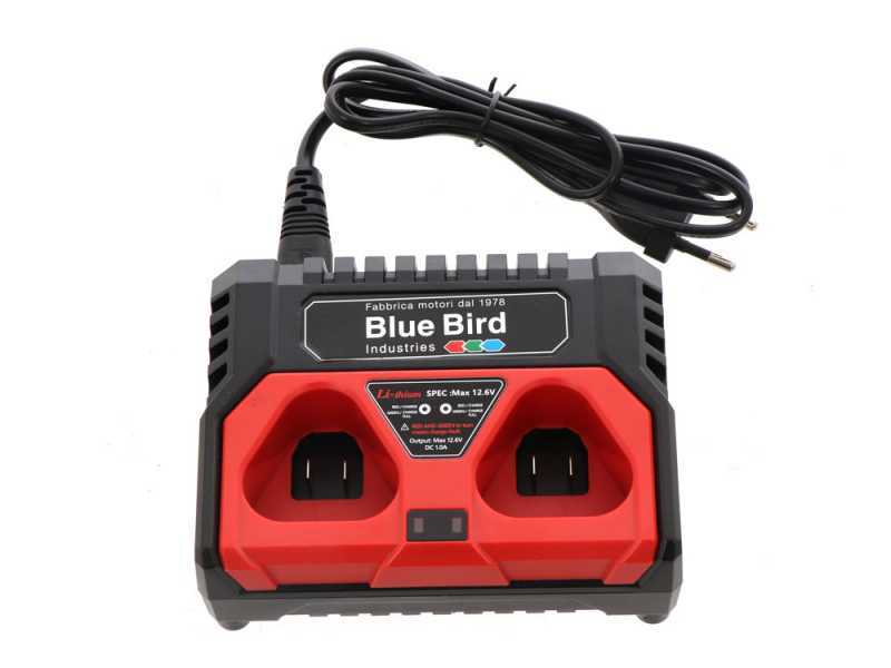 Sécateurs électriques à batterie sur perche rallonge Blue Bird - AgriEuro
