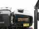 Nettoyeur haute pression thermique AgriEuro Top-Line EWD-K 15/310 - Moteur Loncin G390F