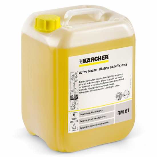 D&eacute;tergent actif pour le lavage automobile, alcalin RM 81 ASF eco!efficiency- pour nettoyeurs Karcher